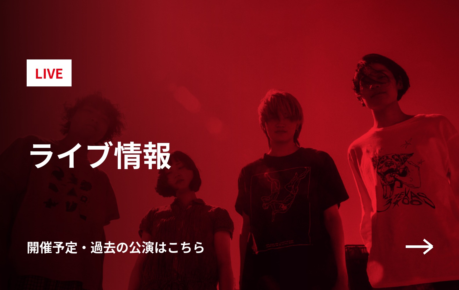 ライブ情報はこちら